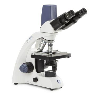 Euromex - BioBlue - BB.4267 - 1W NeoLED - Binocular - 40x-1000x