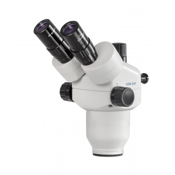 Stereo Microscope Modular System Ð Head KERN #OZM 546