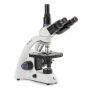 Euromex - BioBlue - BB.4253 - 1W NeoLED - Trinocular - 40x-1000x thumbnail