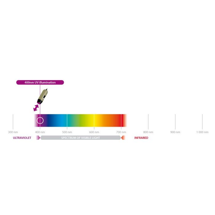[AM4115TL-FVW] Dino-Lite EDGE Digitális Mikroszkóp (USB 2, 1.3MP) UV LED 390-400nm, 10-140x