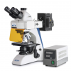 Kategória Fluorescence Microscopes image