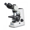 Kategória Phase Contrast Microscopes image